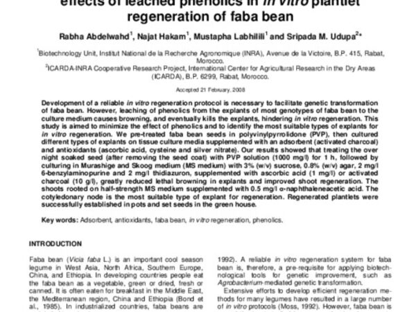 Use of an adsorbent and antioxidants to reduce the effects of leached phenolics in in vitro plantlet regeneration of faba bean