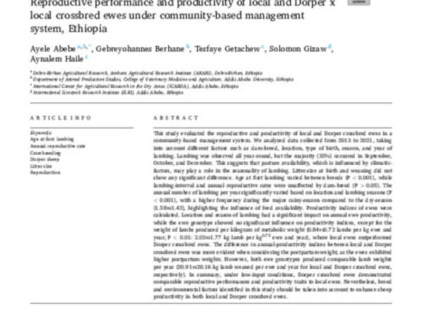 Reproductive performance and productivity of local and Dorper x local crossbred ewes under community-based management system, Ethiopia