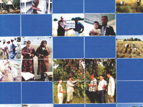 ICARDA in Central Asia and the Caucasus - A Decade of Achievements