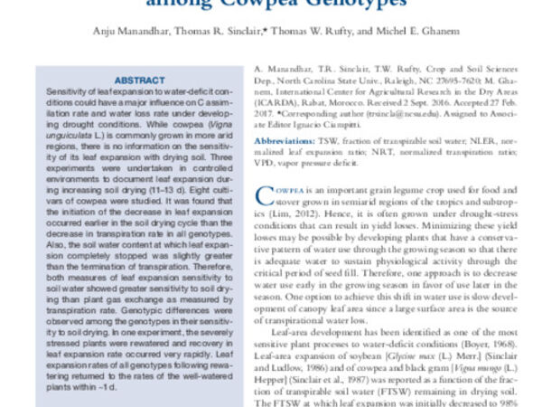 Leaf Expansion and Transpiration Response to Soil Drying and Recovery among Cowpea Genotypes