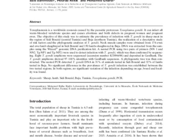 Molecular detection and phylogenetic analyses of Toxoplasma gondii from naturally infected sheep in Northern and Central Tunisia