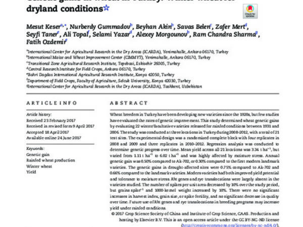 Genetic gains in wheat in Turkey: winter wheat for dryland conditions