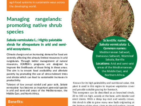 Managing rangelands: promoting native shrub species, Salsola vermiculata L.: Highly palatable shrub for silvopasture in arid and semi-arid ecosystems