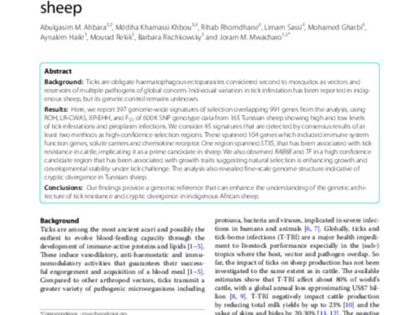 Genome variation in tick infestation and cryptic divergence in Tunisian indigenous sheep