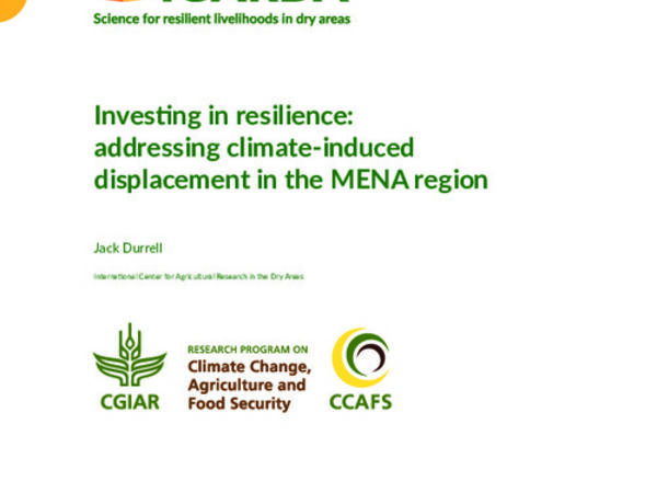 Investing in resilience: addressing climate-induced displacement in the MENA region