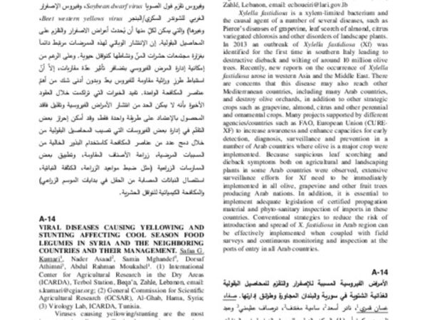 Viral diseases causing yellowing and stunting affecting cool season food legumes in Syria and the neighboring countries and their management
