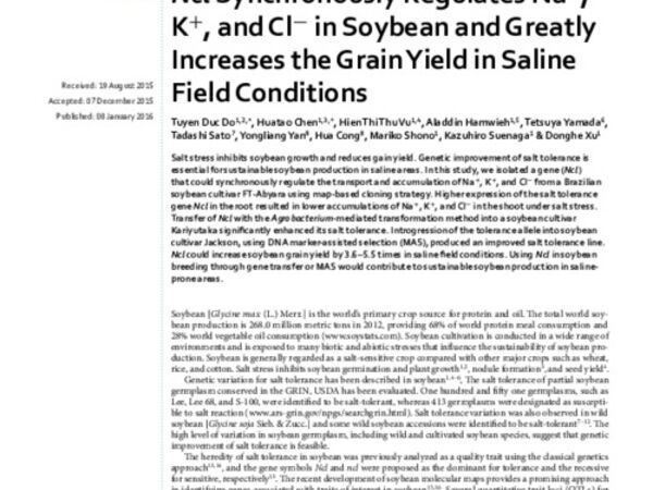 Ncl Synchronously Regulates Na+, K+, and Cl− in Soybean and Greatly Increases the Grain Yield in Saline Field Conditions