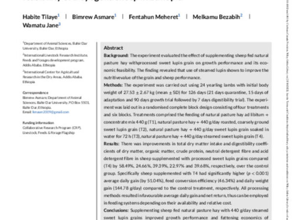 Effect of processed sweet lupin (Lupinus angustifolius) grain supplementation on growth performance and socioeconomic feasibility of Doyogena sheep in Ethiopia