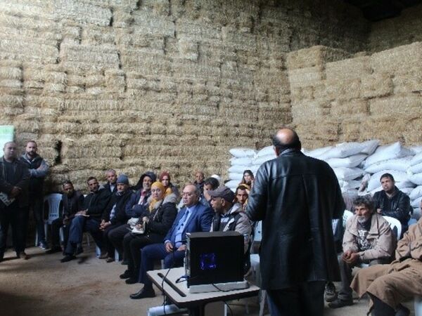 Explanation of the different steps in farmers’ association formation