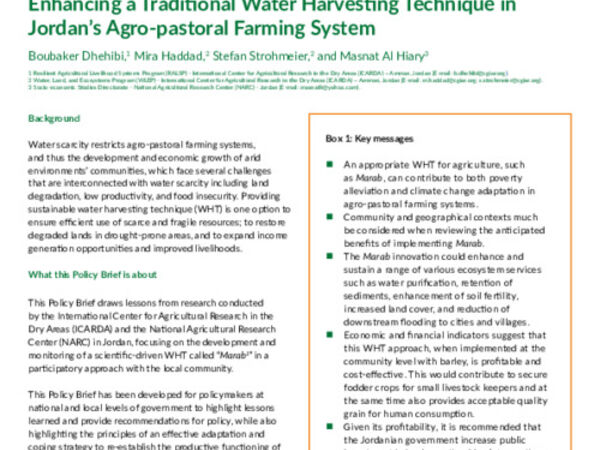 Enhancing a Traditional Water Harvesting Technique in  Jordan’s Agro-pastoral Farming System 