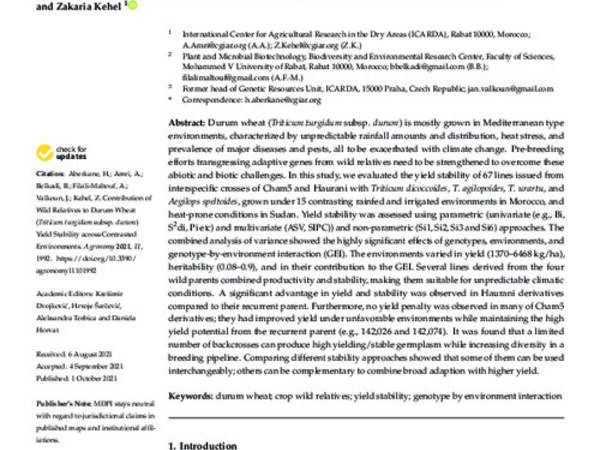 Contribution of Wild Relatives to Durum Wheat (Triticum turgidum subsp. durum) Yield Stability across Contrasted Environments