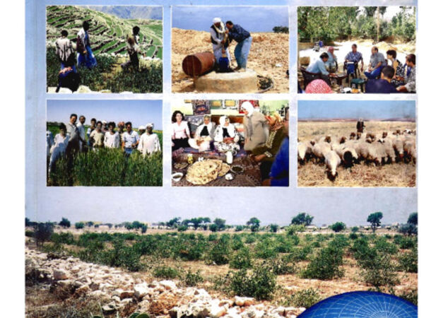 ICARDA Annual Report 2003