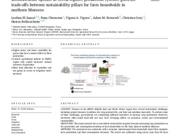 Intensification options in cereal-legume production systems generate trade-offs between sustainability pillars for farm households in northern Morocco