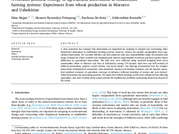 A feminist political ecology of agricultural innovations in smallholder farming systems: Experiences from wheat production in Morocco and Uzbekistan