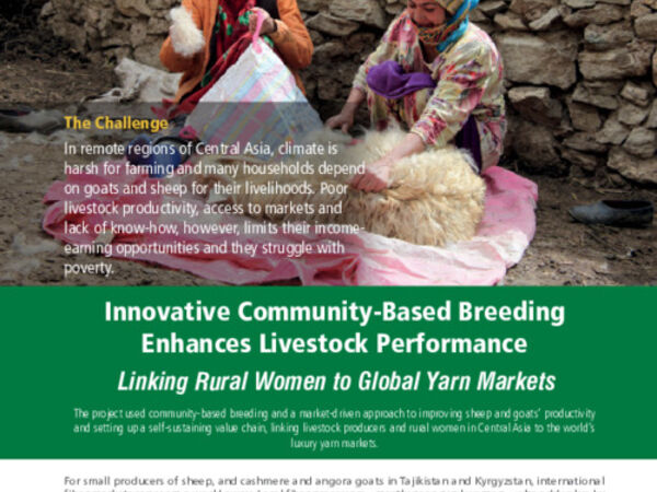 Linking Livestock Producers and Rural Women to Global Yarn Markets
