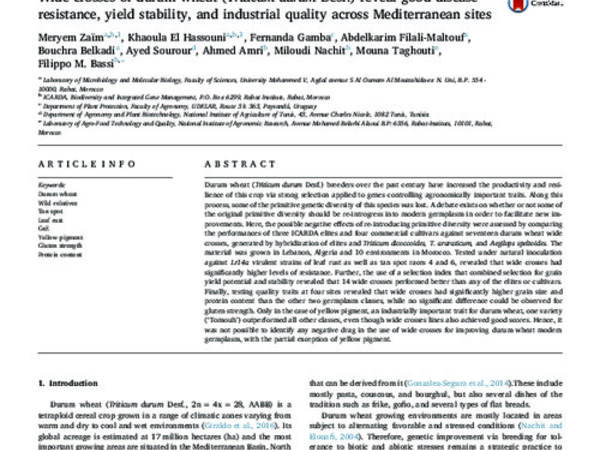 Wide crosses of durum wheat (Triticum durum Desf.) reveal good disease resistance, yield stability, and industrial quality across Mediterranean sites
