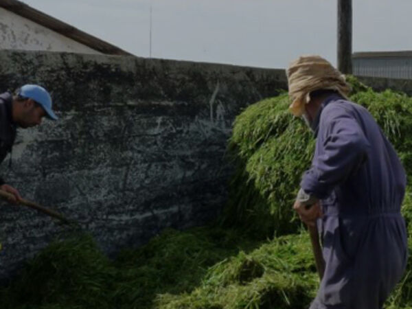 Enhancing Water and Land Productivity