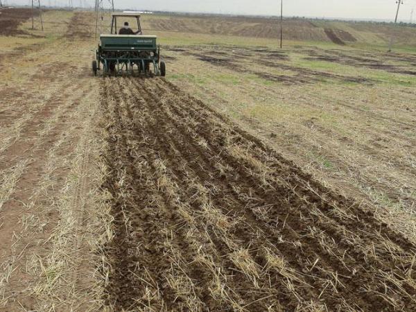 Zero-till seeders have helped expand the application of conservation agriculture across Iraq.