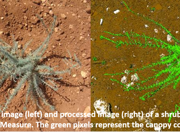 To be provided by Jack