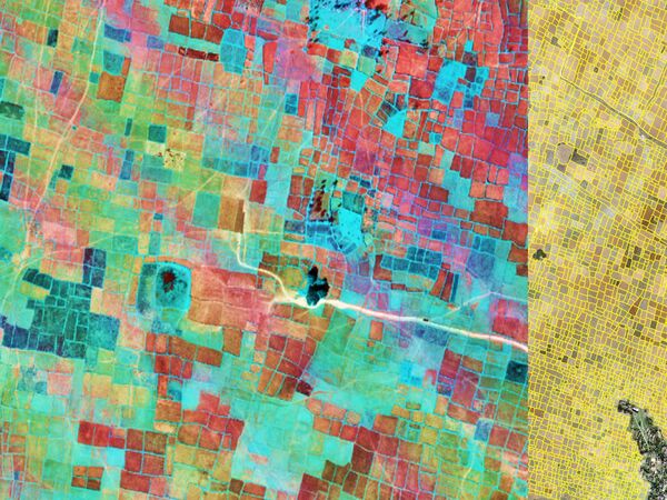 ICARDA has developed a geoinformatics-based decision support tool that targets sustainable pulse intensification in rice fallows