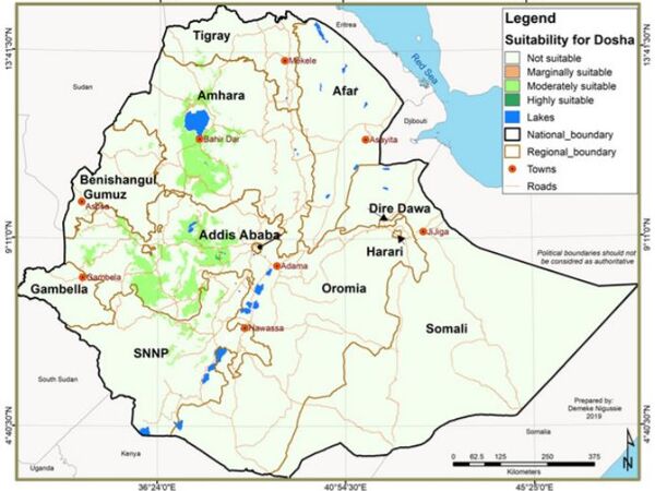  Land suitability map for faba bean var. Doshaas established in the present study