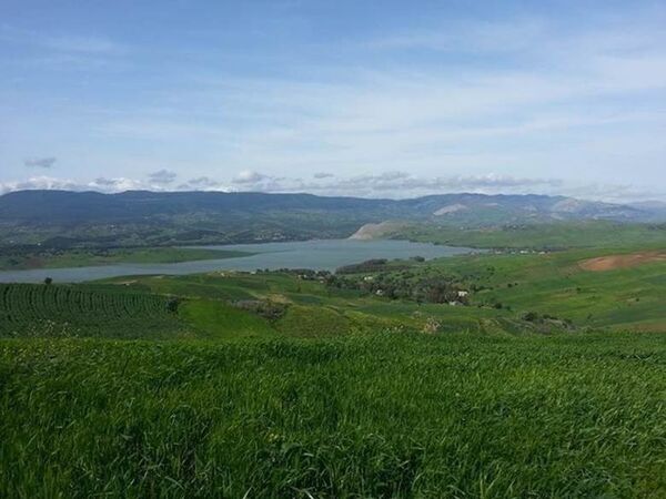 Crop rotation known as spatial and temporal alternation of crops with different root geometry and secretion of exudates is believed to break life cycle of soil born diseases and pests and largely influence the rizhosphere and the microorganisms