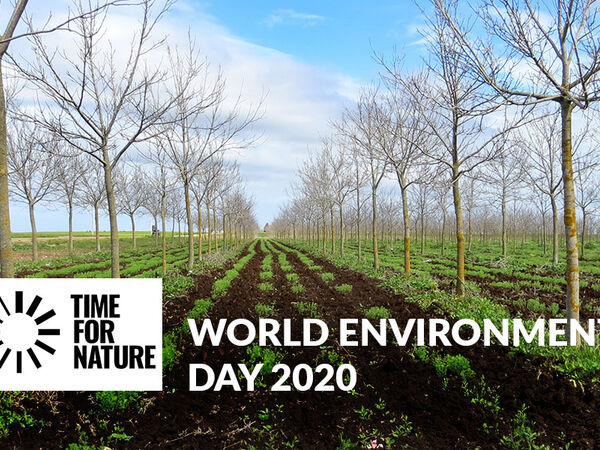 World Environment Day 2020
