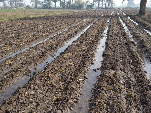 World Water Day 2021