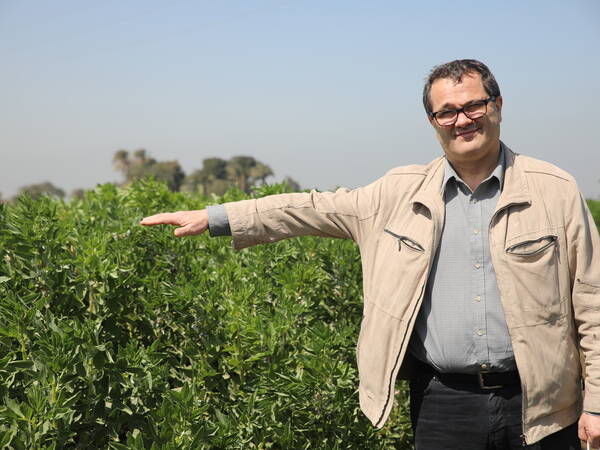 Dr. Michael Baum in faba bean field