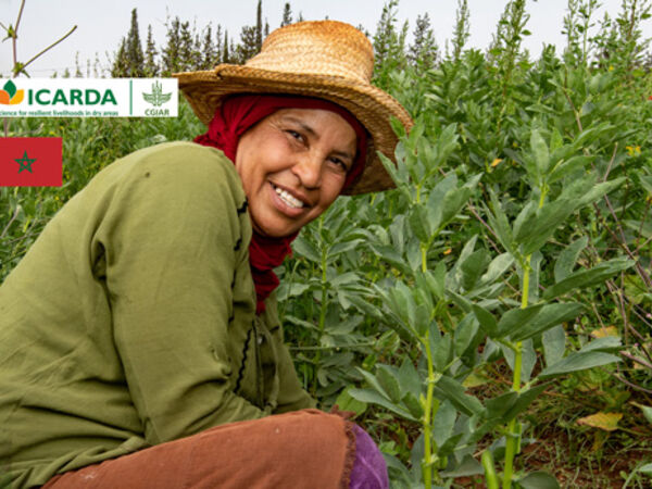 Moroc Launch Header 3