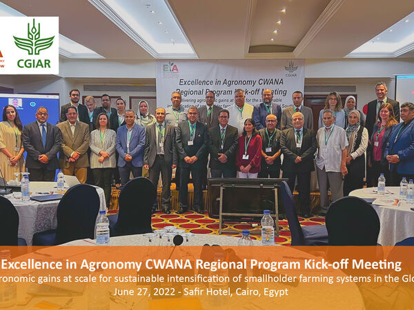 All participants at the EiA 2030 CWANA Kick-off Meeting