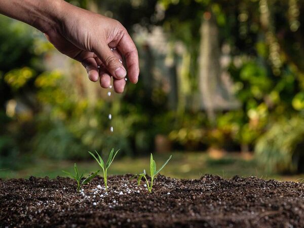 Fertilizer application provides crops with necessary nutrients to grow