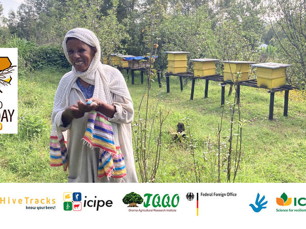World Day Bee 2023