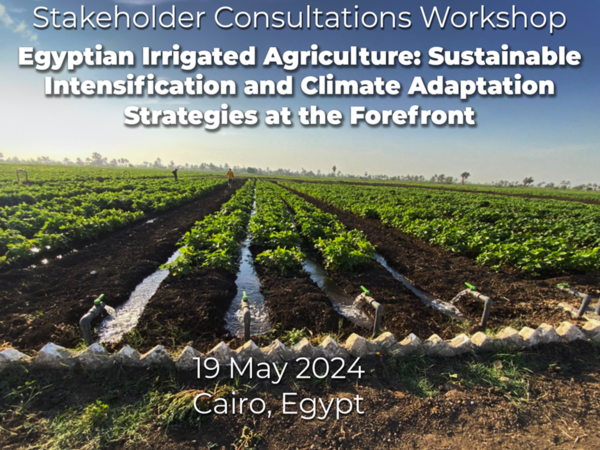 Workshop Egyptian Irrigated Agriculture