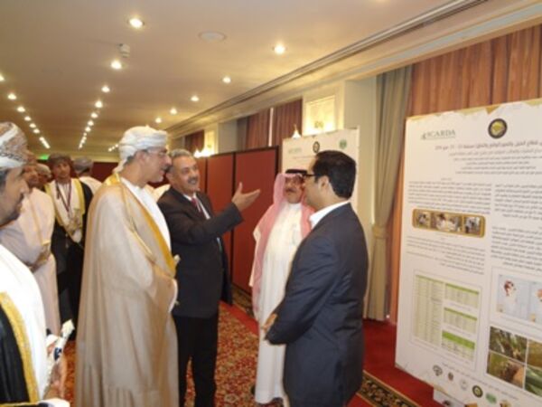 HE Dr. Fuad bin Jaafar al Sajwani, Oman Minister of Agriculture and Fisheries, visiting the ICARDA posters display and discussing issues with the ICARDA and GCC teams
