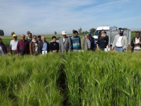 Scientists highlighted the achievements of recent research and identified needs for the coming season.