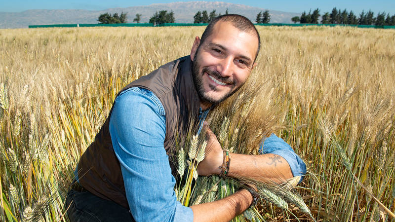 Filippo Bassi, Senior Scientist - Durum Breeder, Breeding programs (Wheat Barley Legumes) at the ICARDA Terbol Station, Lebanon
