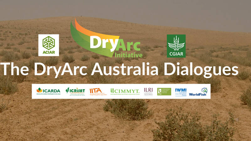 DryArc