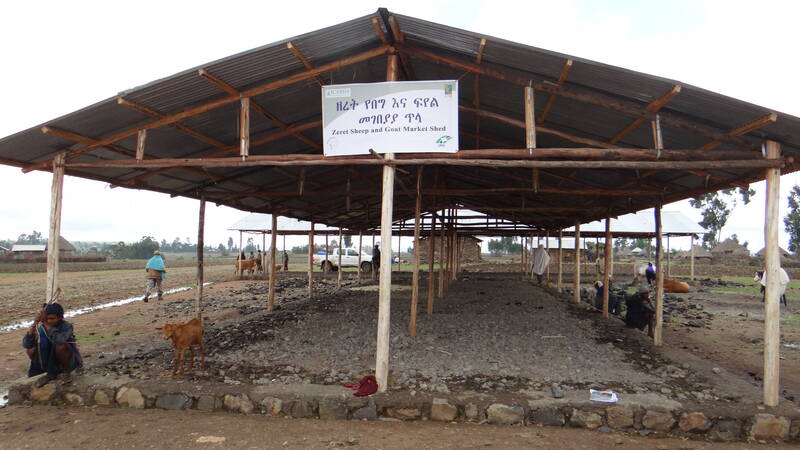 Market livestock sheds in Ethiopia increase farmers' income and attendance.
