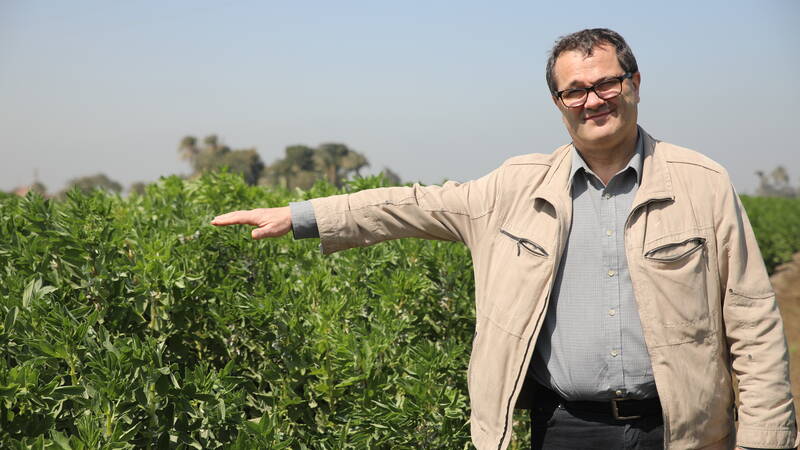 Dr. Michael Baum in faba bean field