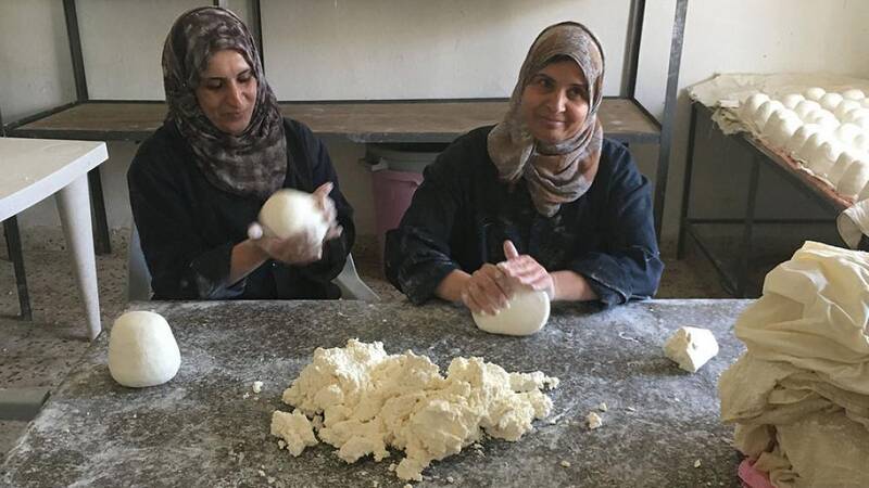 ICARDA improves Jameed production in Jordan to generate more income for rural women.
