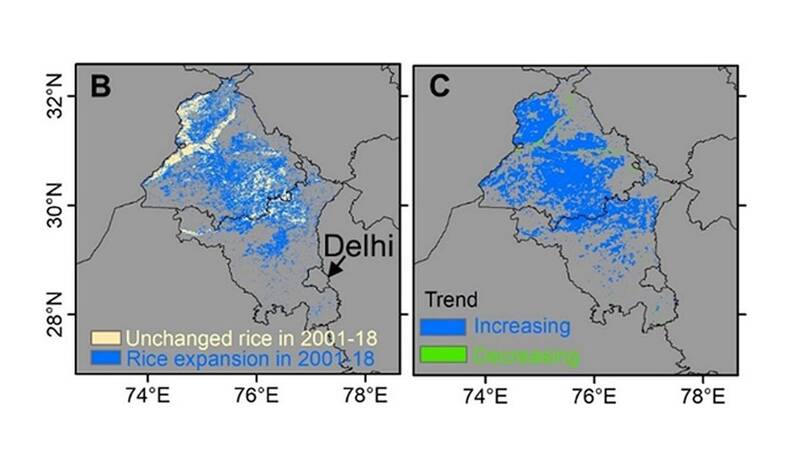 Remote sensing approaches to investigate the agricultural patterns used in the breadbasket of India 