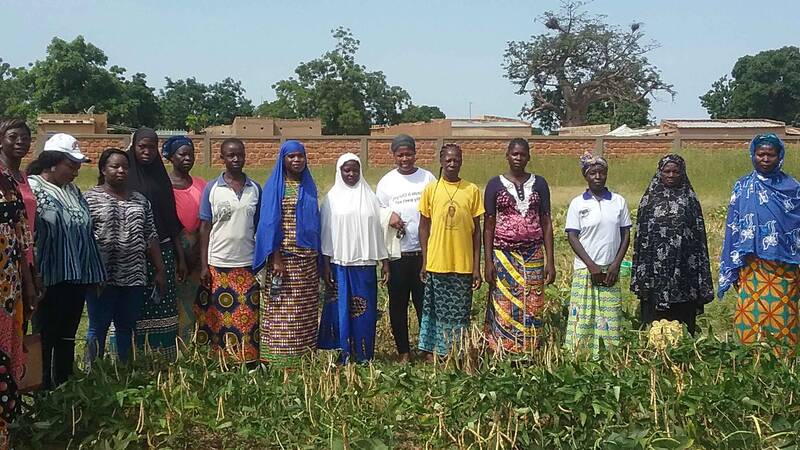 Cowpea farmers in Houet, Burkina Faso