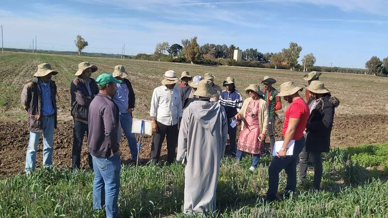 Dr. Mina Devkota describing one of her experiments in diversified cropping systems under conservation agriculture in Marchouch, Morocco.