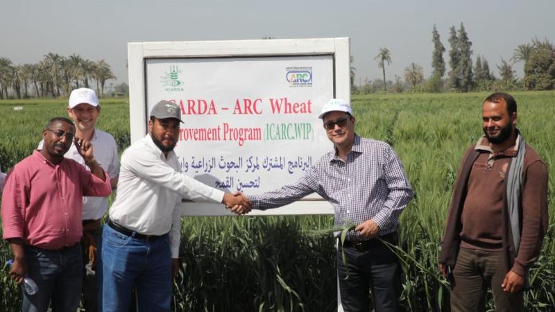 The collaboration between ICARDA and Egypt’s Agricultural Research Center aims to boost resilience and enhance food security in the region