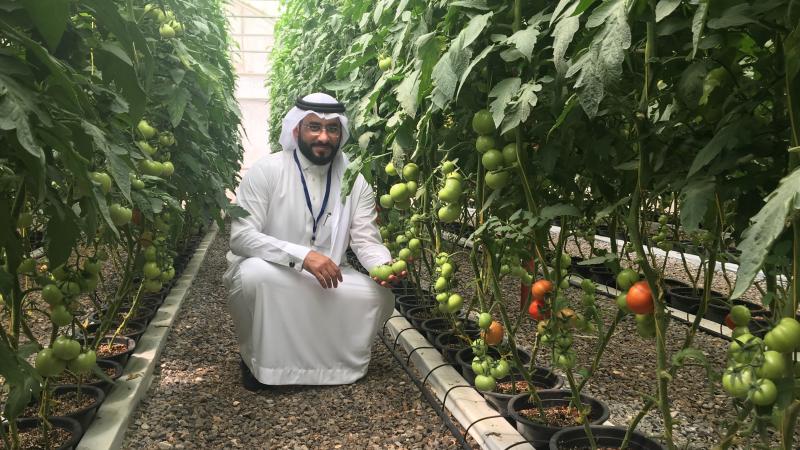 Twenty-five scientists discuss how farming operations can be better managed to help protect watersheds and improve soil health and water quality on the Arabian Peninsula