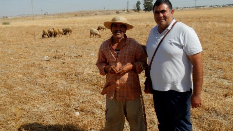 Taoufiq Ben Ammar makes his living from wheat cropping, weaned lambs, dairy cows.