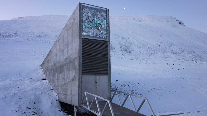The Svalbard Global Seed Vault holds more than 880,000 seed samples from all over the world (Photo credit: Crop Trust)