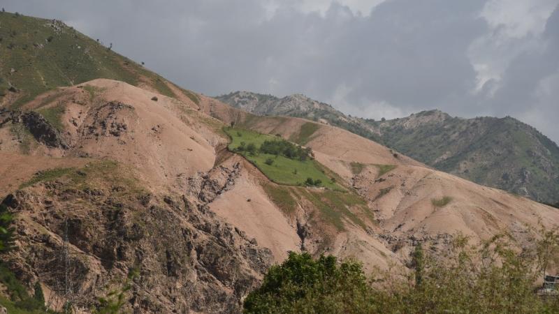 A protected plot on a degraded hillside in the Vazrob Valley, Tajikistan