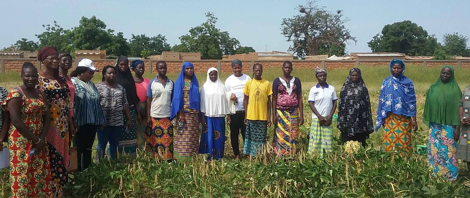 BEYOND GENDER: UNDERSTANDING THE ROLE OF INTERSECTIONALITY ON THE PRODUCTION, MARKETING, AND CONSUMPTION OF COWPEA IN BURKINA FASO